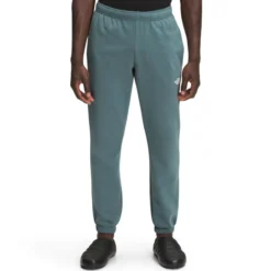 The North Face Men's Box NSE Jogger Pant -Garmentra Sales Store NF0A5A6S A9L hero