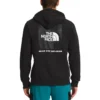 The North Face Men's Printed Box NSE Hoodie