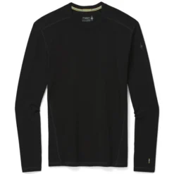 SmartWool Men's Merino 250 Crew Baselayer Top