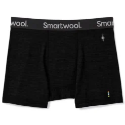 SmartWool Men's Merino Sport 150 Boxer Brief